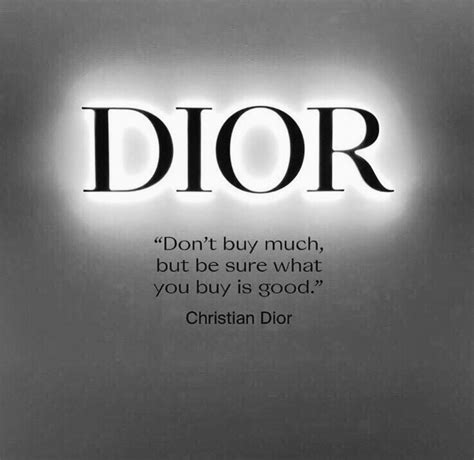 christian dior's vision